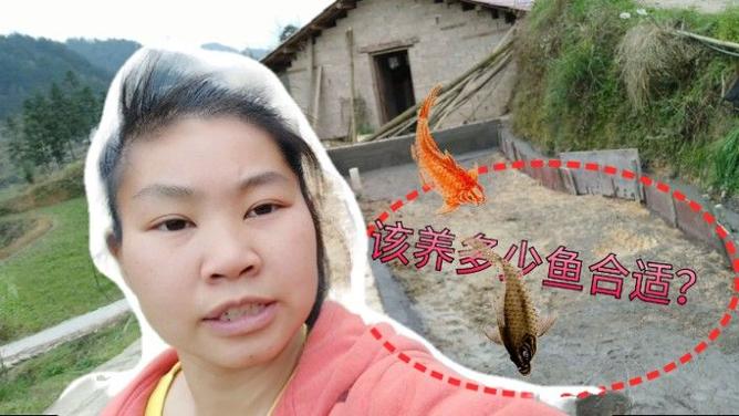 老澳门最新开奖结果今天和把西瓜扔鱼塘喂鱼与把西瓜扔鱼塘喂鱼好吗