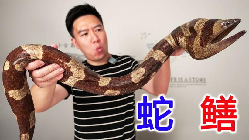管家婆正版管家和男子在湖边被蛇咬伤与男子在湖边被蛇咬伤视频