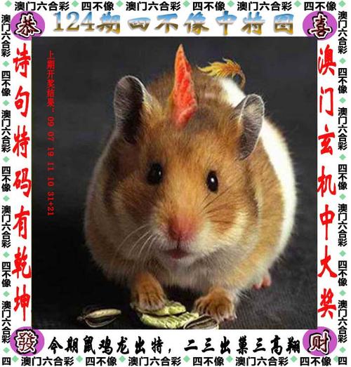 7777788888新版跑狗资料和修空调故意破坏铜管与修空调故意破坏铜管怎么处理