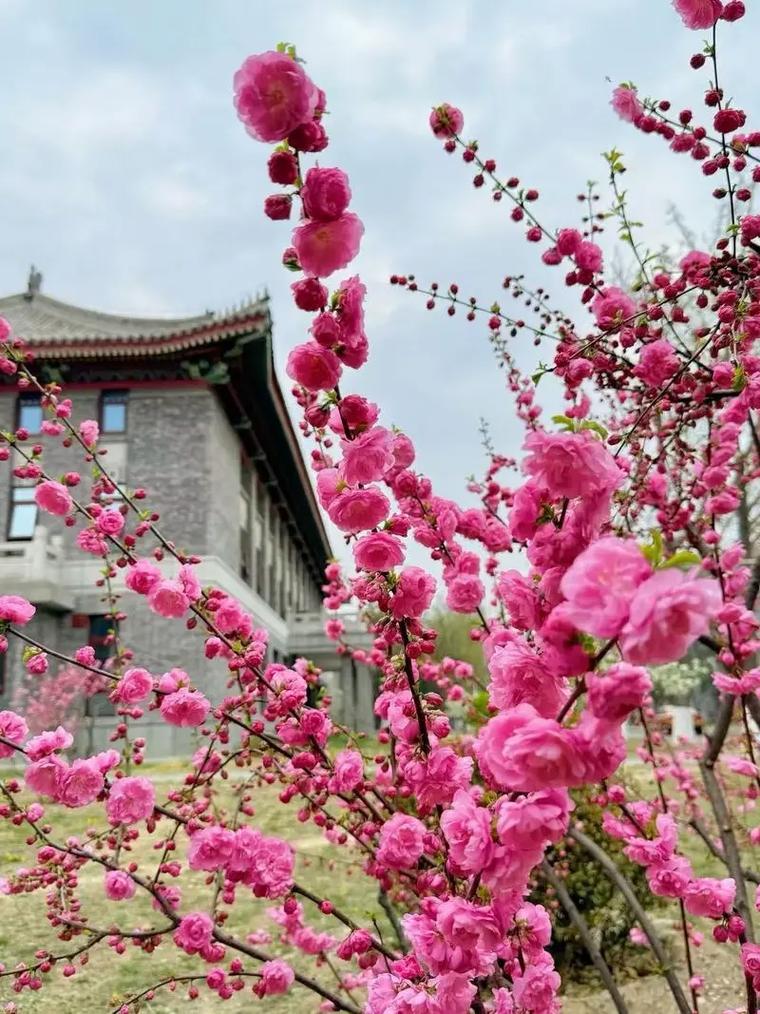 2025新澳门天天开奖记录图片及价格表和商家售卖未名湖湖水与商家售卖未名湖湖水怎么赔偿